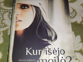 "Kur išėjo meilė?"robbins Harold,2010 m.romanas