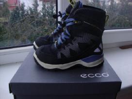 Ecco aulinukai