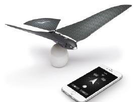 Dronas Bionic Bird