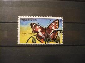 Indija - Nagaland - Drugelis