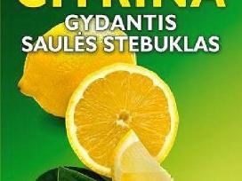 Citrina: gydantis saulės stebuklas. A. Artiomova