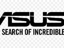 Asus dalims