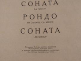 F.e.bacho natos fortepijonui