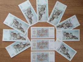 500 talonų "Vilkai"