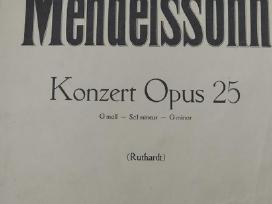 F.mendelsono Koncertas fortepijonui