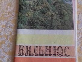 Vilnius