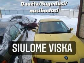 Brangus ir greičiausias automobiliu supirkimas24/7