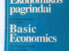 Knyga "Ekonomikos pagrindai"