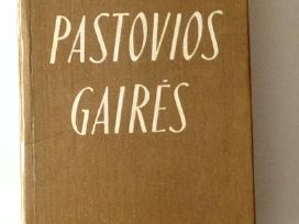 Knyga: Macevičius Juozas Pastovios gairės