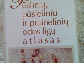 Pūslinių, pūslelinių ir pūlinėlinių odos atlasas