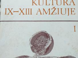 Lietuvių materialinė kultūra IX - XIII amžiuje