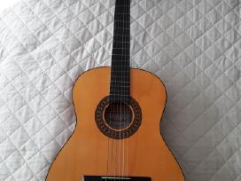„herald“ klasikinės gitaros modelis Nr. Hl44