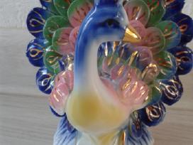 Statulele paukstis