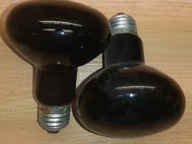 8 ultravioletinės kaitrinės lempos diskotekai