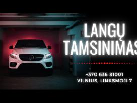 +370636 81001