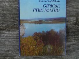 Knyga - albumas Girioje prie mariu