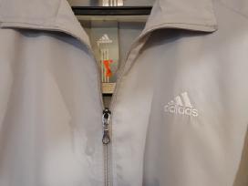 Bliuzonas