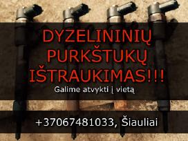 Purkštukų ištraukimas, išėmimas