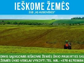 Geromis sąlygomis nuomojamės žemės sklypus