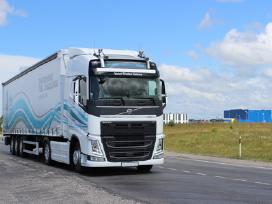Saltkalvis-mechanikas