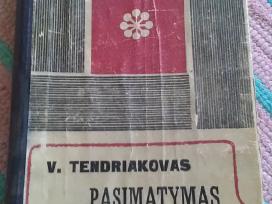 "Pasimatymas su Nefertite"tendriakovas Vladim