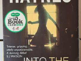 Knyga E. Haynes Into the darkest corner