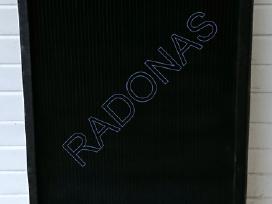 Class Lexion radiatorius