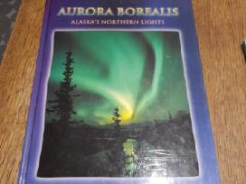 Aurora Borealis. Alaskas Northern lights