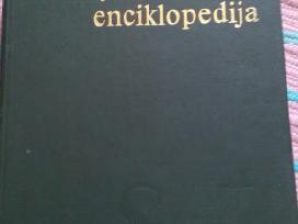 "Tarybų Lietuvos enciklopedija"1988m.