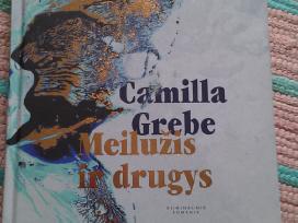 "Meilužis ir drugys"camilla Grebe,2017m.roman
