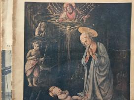 Leidinai Trimitas, 1932 Banga, Sajudzio zinios kt.