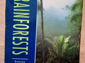 Rainforests (r.akinyemi, anglų k.)