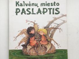Knyga “Kalvėnų Miesto Paslaptis"