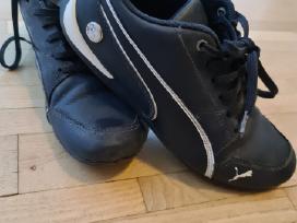 Puma Bmw kedulai