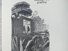 XIX amžiaus Lietuvos grafika. Vladas Gasiūnas