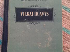 Vilkai ir avys Ostrovskis Aleksandras 1953 m.