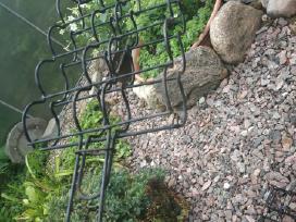 Kukurūzų burbuolių kepimo grotelės
