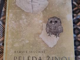 Pelėda žino