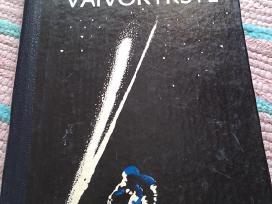 Mėnulio Vaivorykštė Pavlovas Sergėjus fantastika
