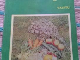Mokykimės Gyventi Be Vaistų Bronius Vyšniauskas