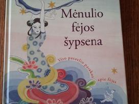 Mėnulio fėjos šypsena