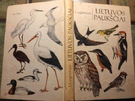 Logminas Lietuvos paukščiai 1979 m puiki bukle