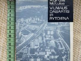 Vilniaus dabartis ir rytdiena