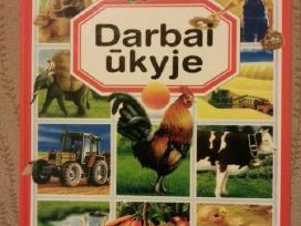 Knyga vaikams "Darbai ūkyje"