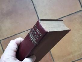 N. V. Gogol Berlynas 1921 metai