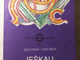 Alfonsas Grauslys. Ieškau tavo veido