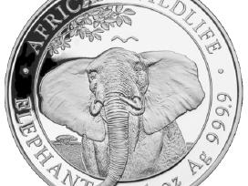 1 oz sidabrinė moneta Dramblys, Somalis 2021