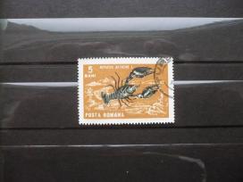 1966 Krabai ir sraigės