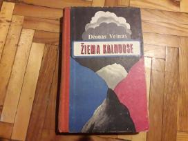 Džonas Veinas "Žiema kalnuose" 1976 m/