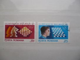 1980 m. šachmatų olimpiada, Malta